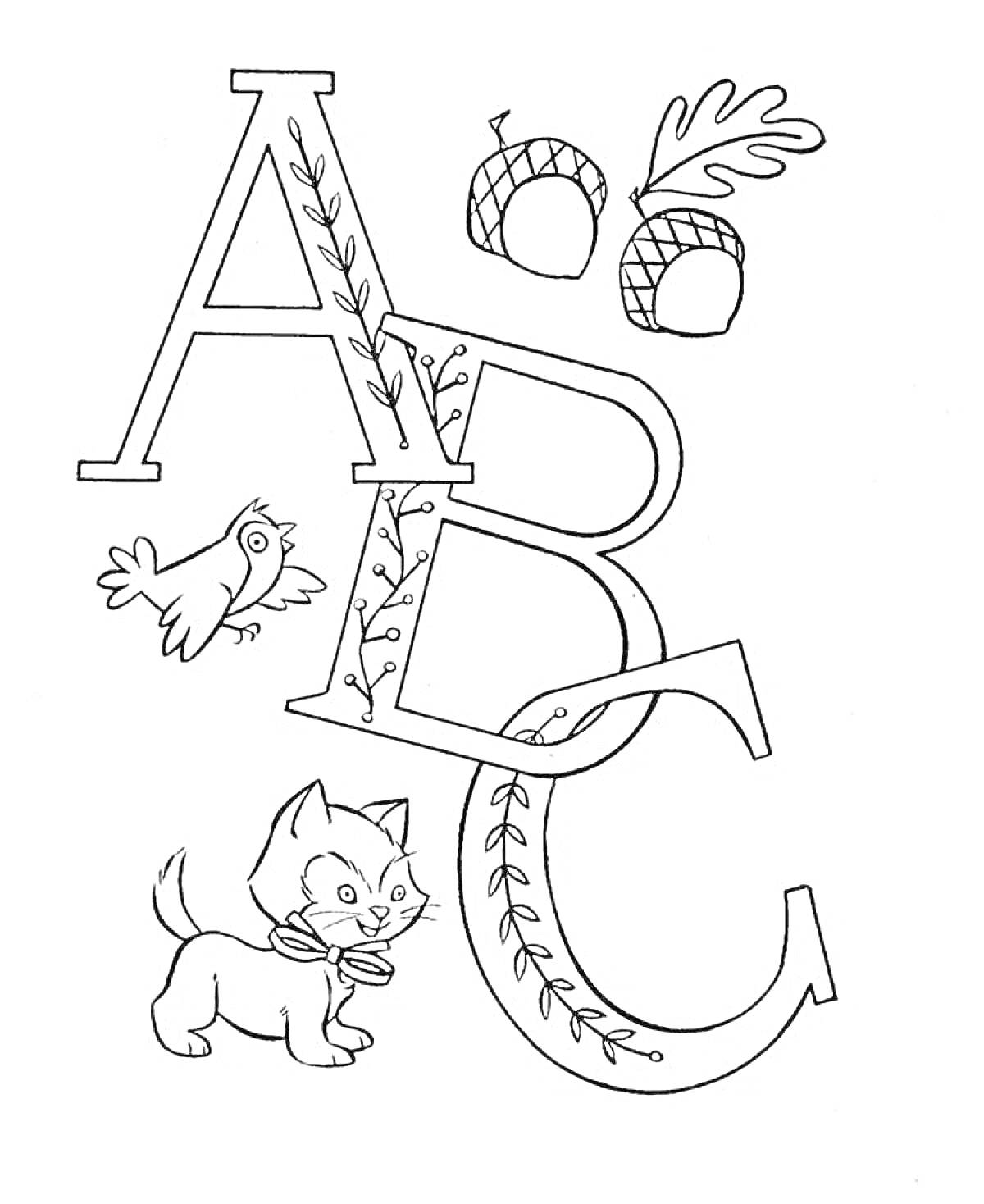 На раскраске изображено: Буква B, Буква C, Желуди, Листья, Птица, Алфавит