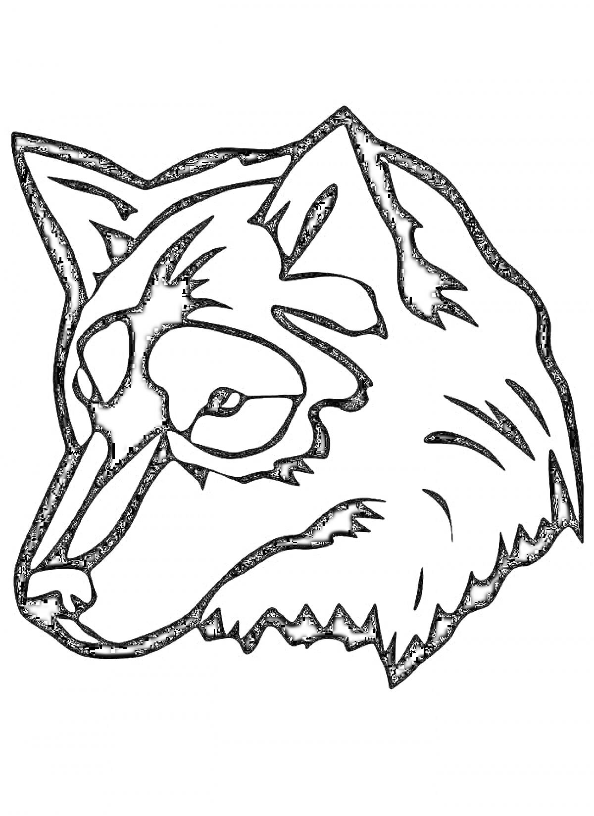 Раскраска Голова волка, смотрящего влево, с видимыми ушами, глазами, носом и деталями меха