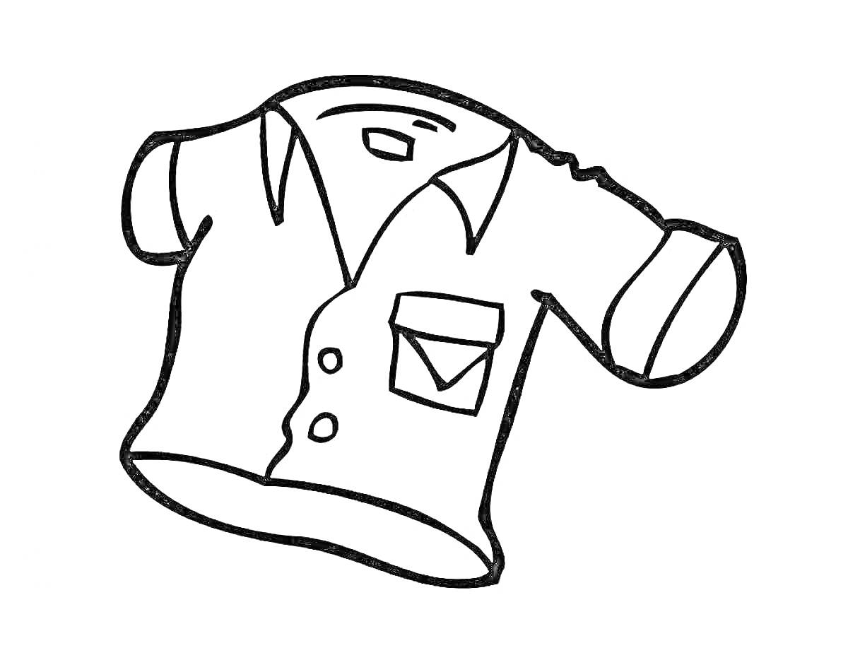 На раскраске изображено: Одежда, Короткие рукава, Кнопки