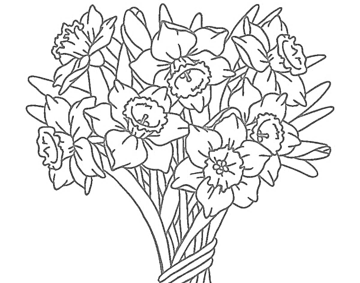 На раскраске изображено: Цветы, Нарциссы, Для детей, Творчество, Букет цветов