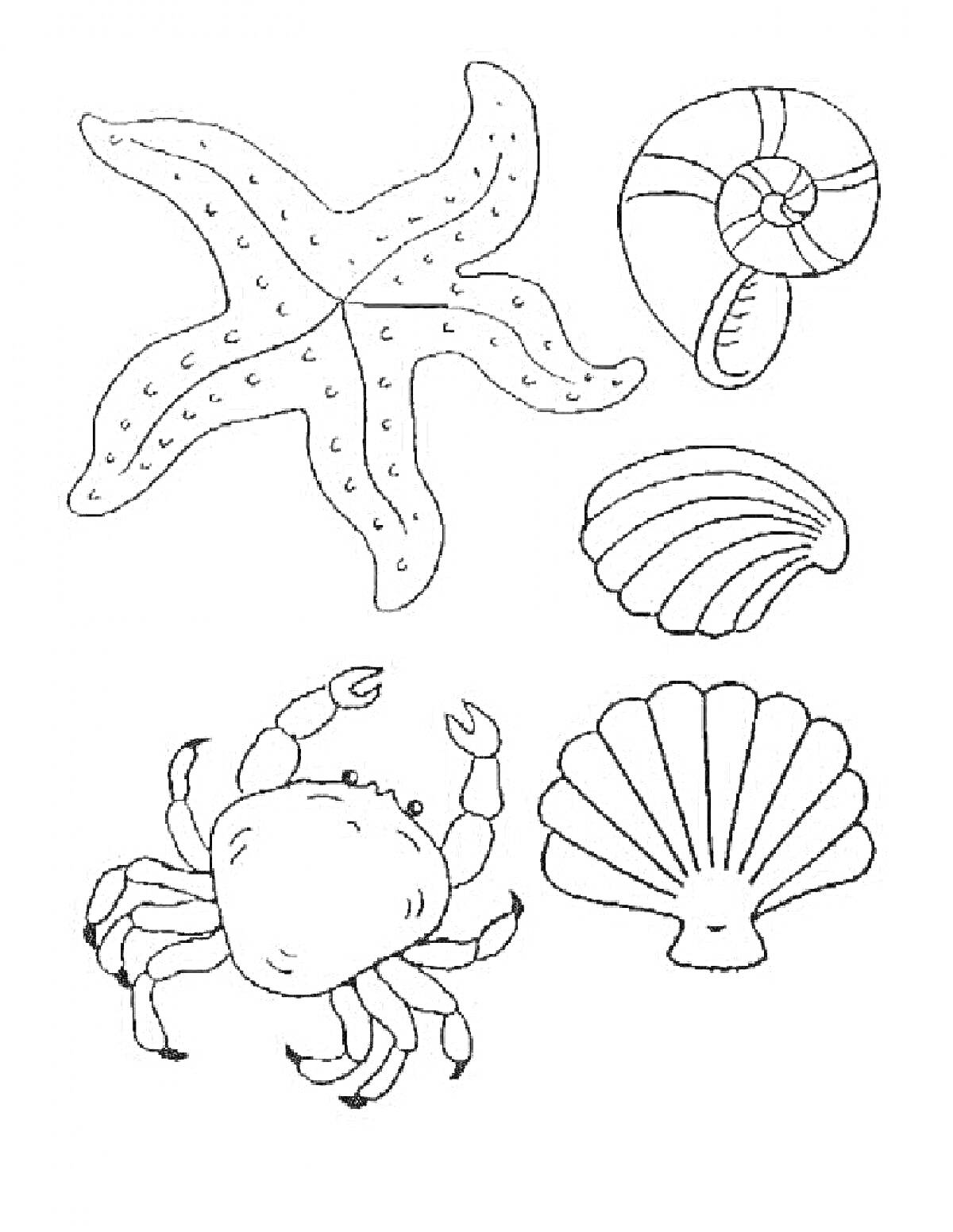 На раскраске изображено: Краб, Раковина, Морские жители