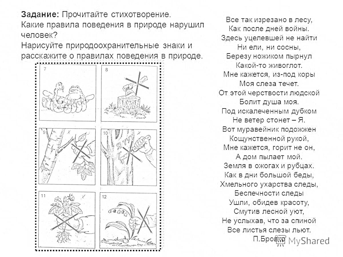 Раскраска Несоблюдение правил поведения в лесу: сорванные растения, разведение костра, мусор, стрельба