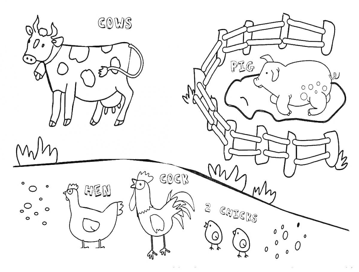 На раскраске изображено: Корова, Загон, Петух, Цыплята, Трава, Ферма, Животные