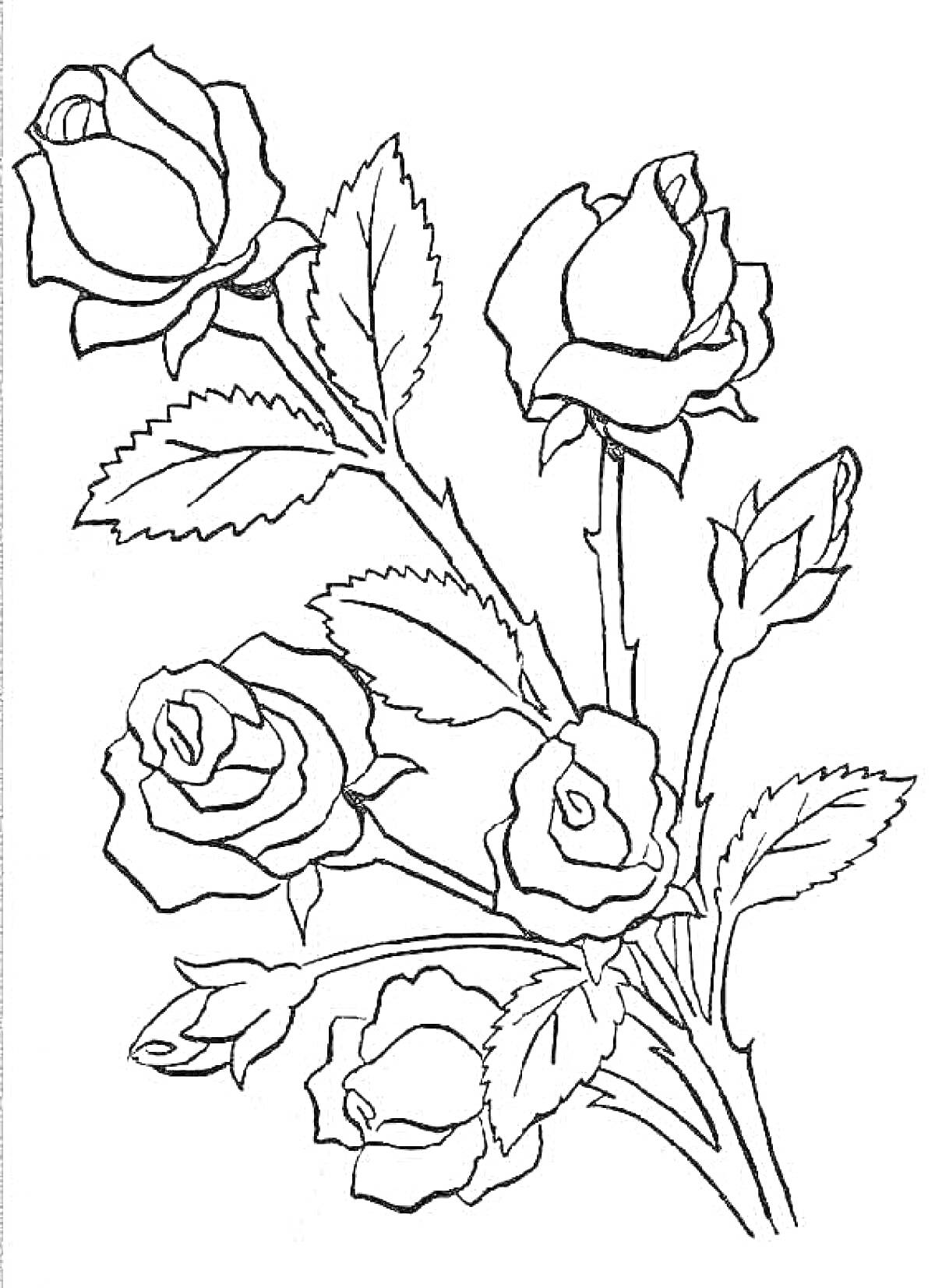 Раскраска Букет из роз с листьями