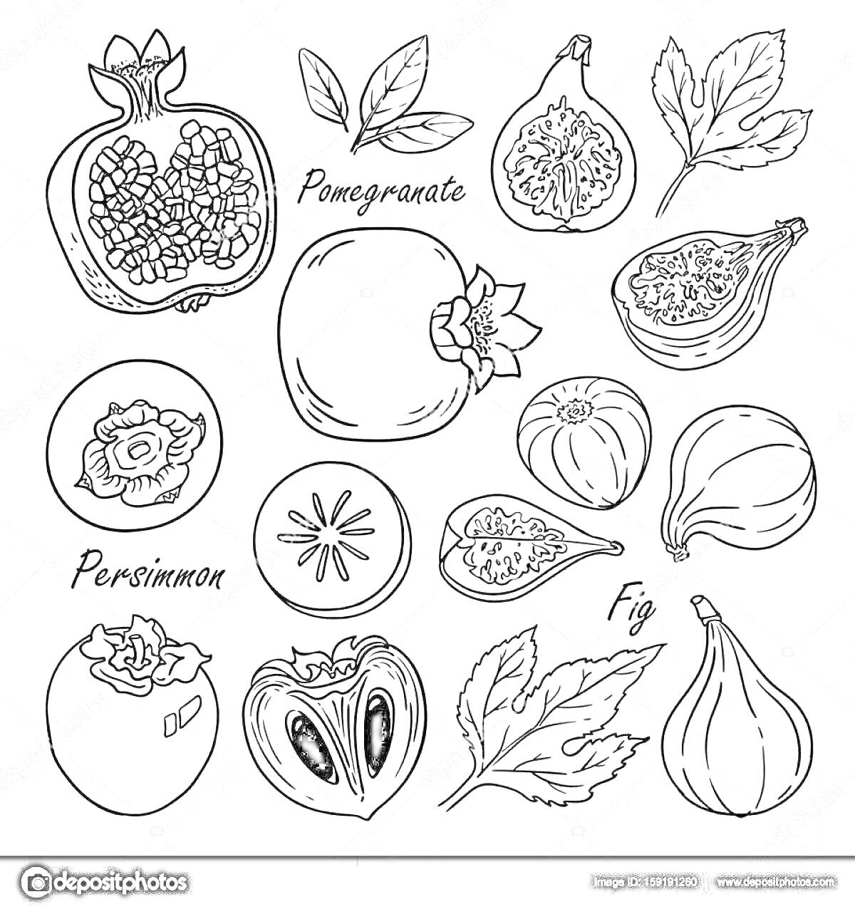 На раскраске изображено: Гранат, Хурма, Инжир, Листья, Еда, Натюрморт