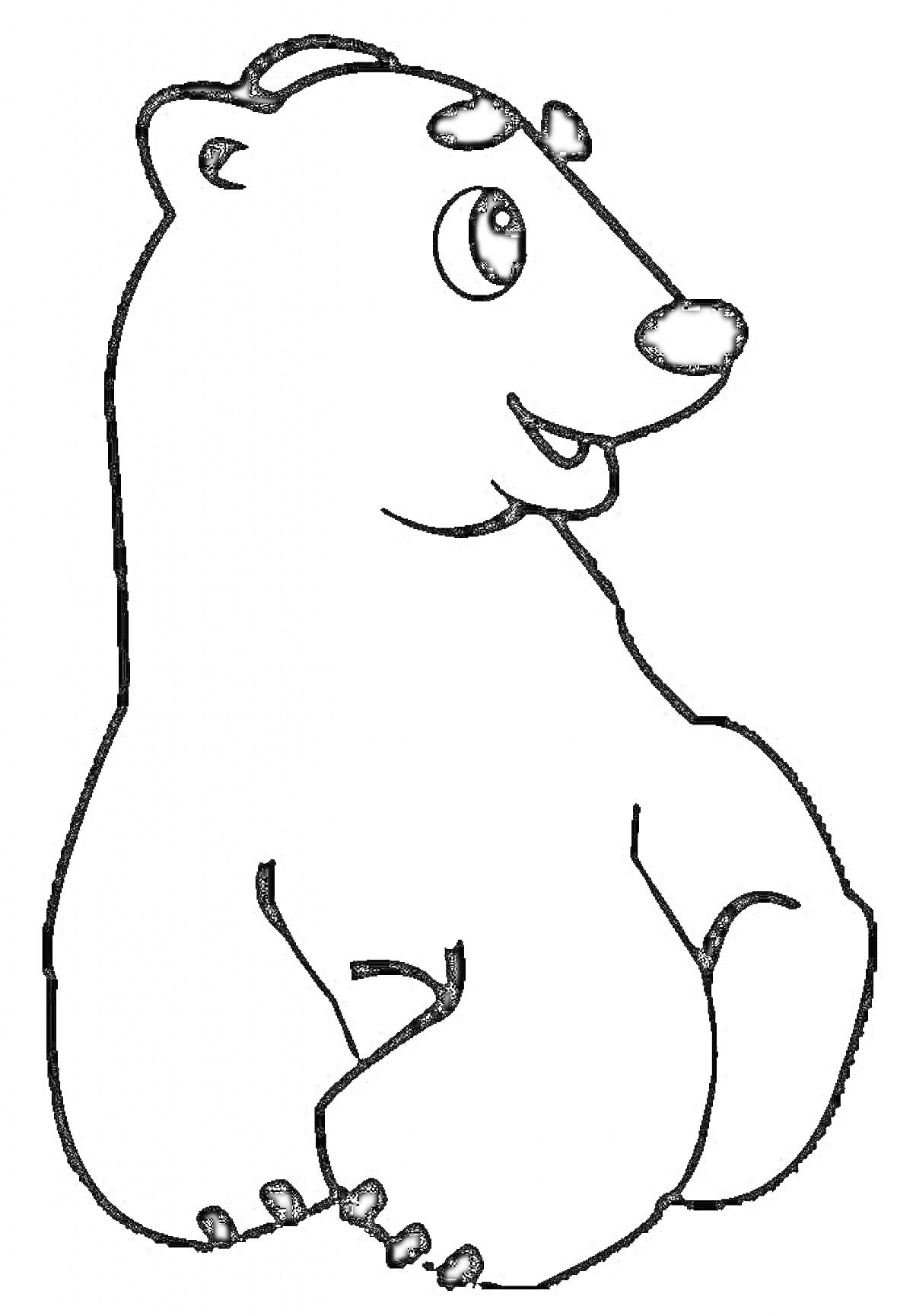 На раскраске изображено: Умка, Медведь, Улыбка
