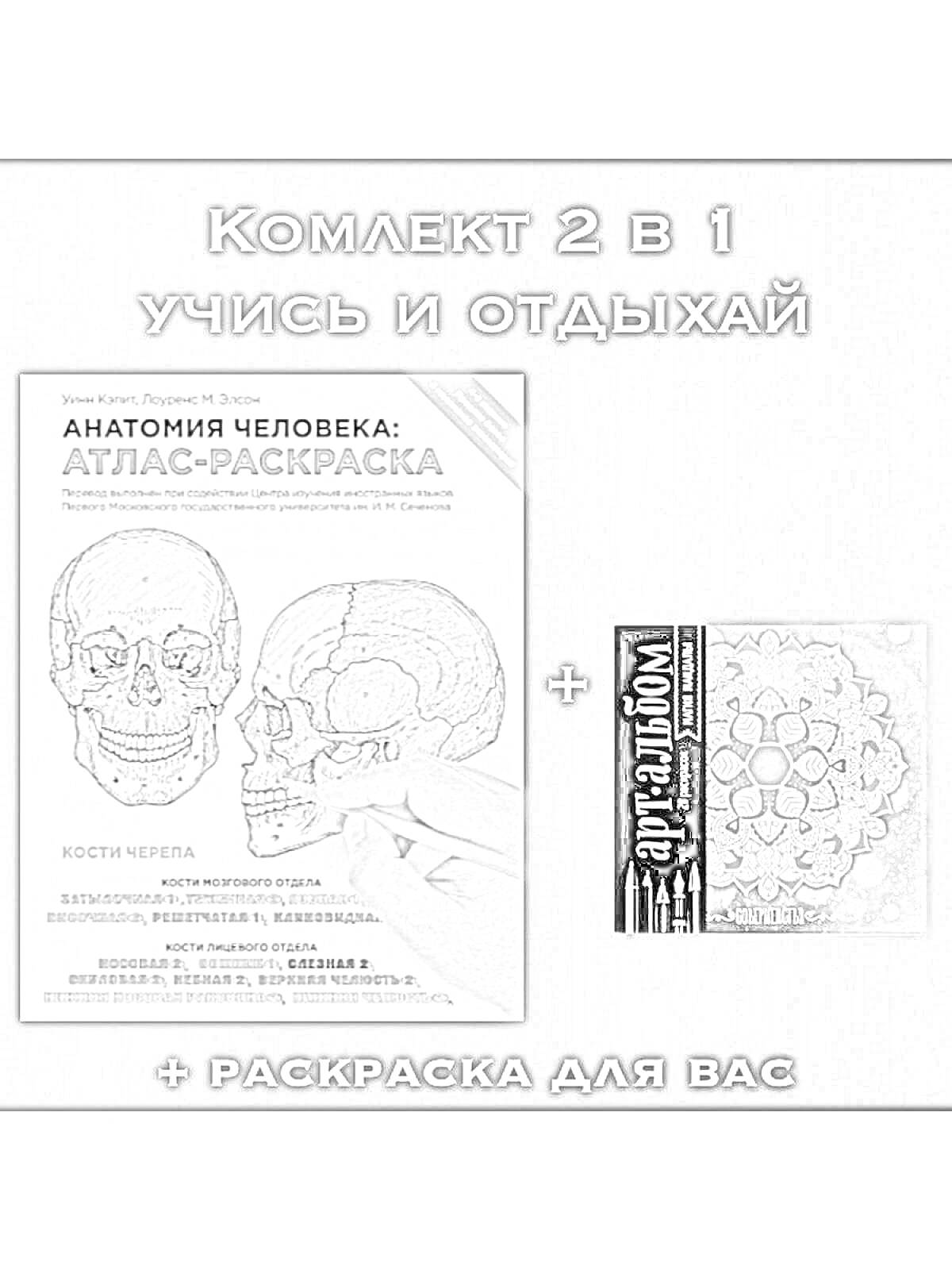 На раскраске изображено: Анатомия, Человек, Атлас, Череп, Здоровье, Обучение, Отдых, Комплект, Анатомия человека