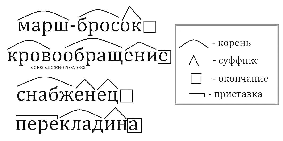 анализ состава слов 