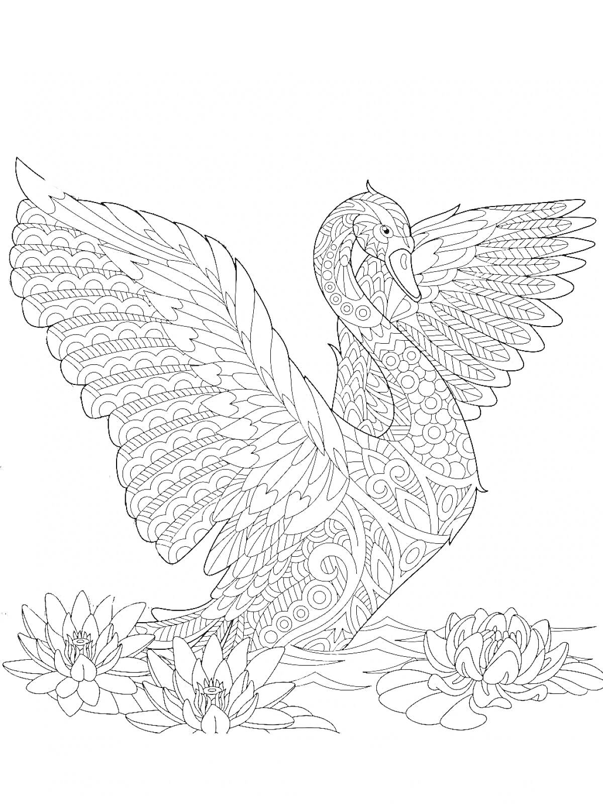 Раскраска Лебедь с антисрессовыми узорами на фоне водяных лилий