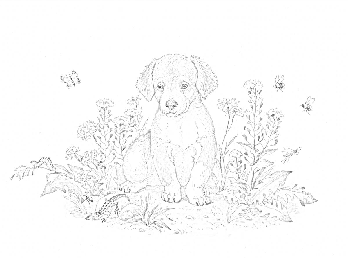 Раскраска Щенок среди цветов и насекомых