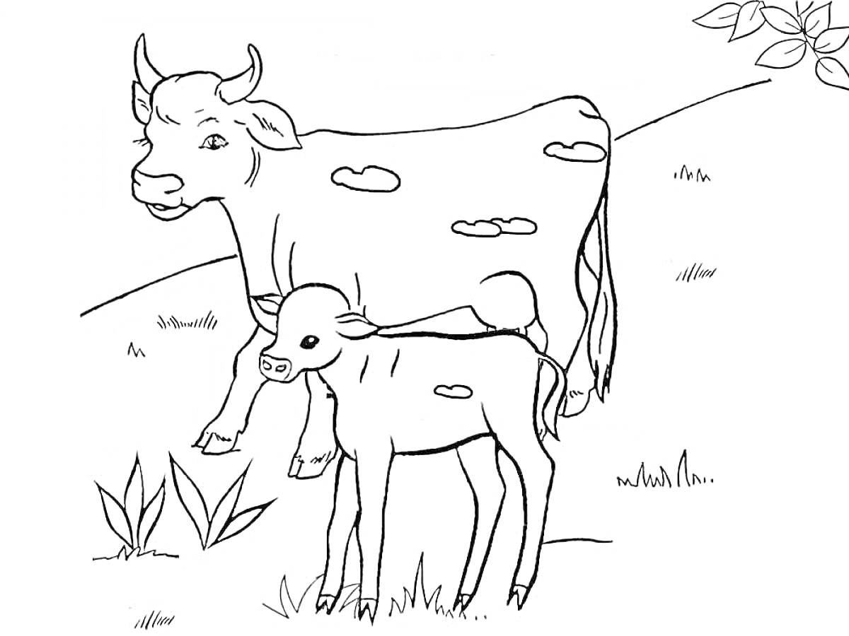 Раскраска Корова и теленок на лугу с травой и кустами