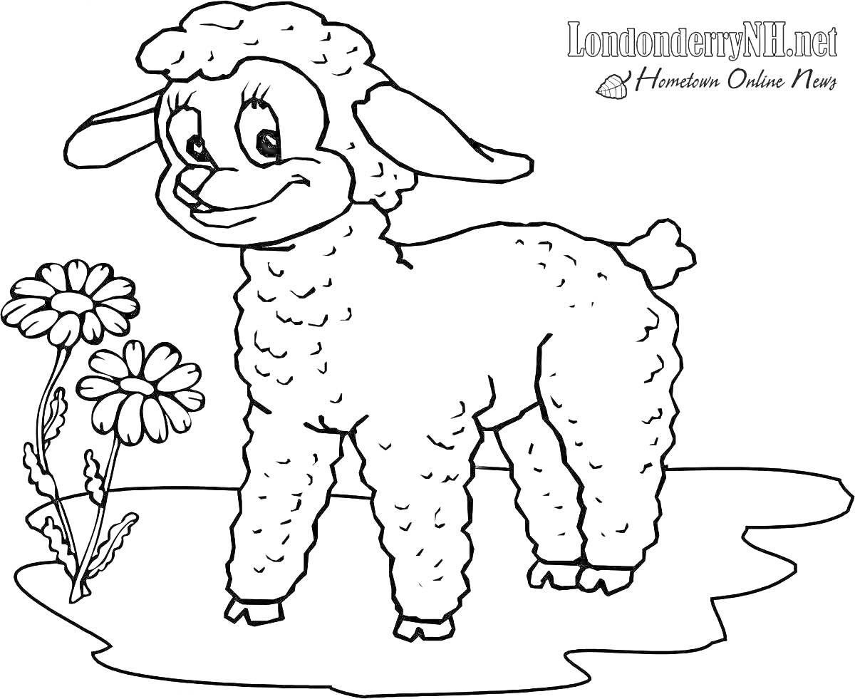 На раскраске изображено: Ягненок, Цветы, Поле, Природа