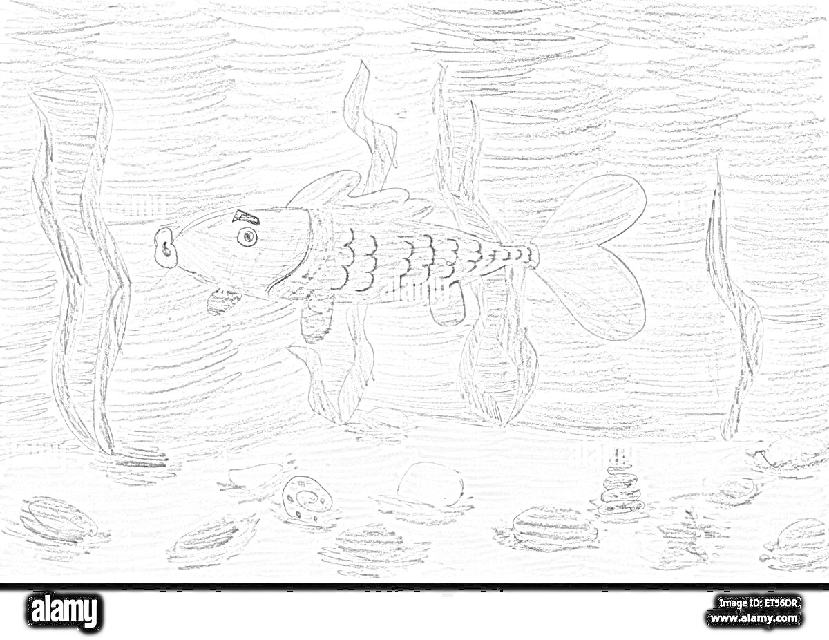 На раскраске изображено: Море, Водоросли, Песок, Подводный мир