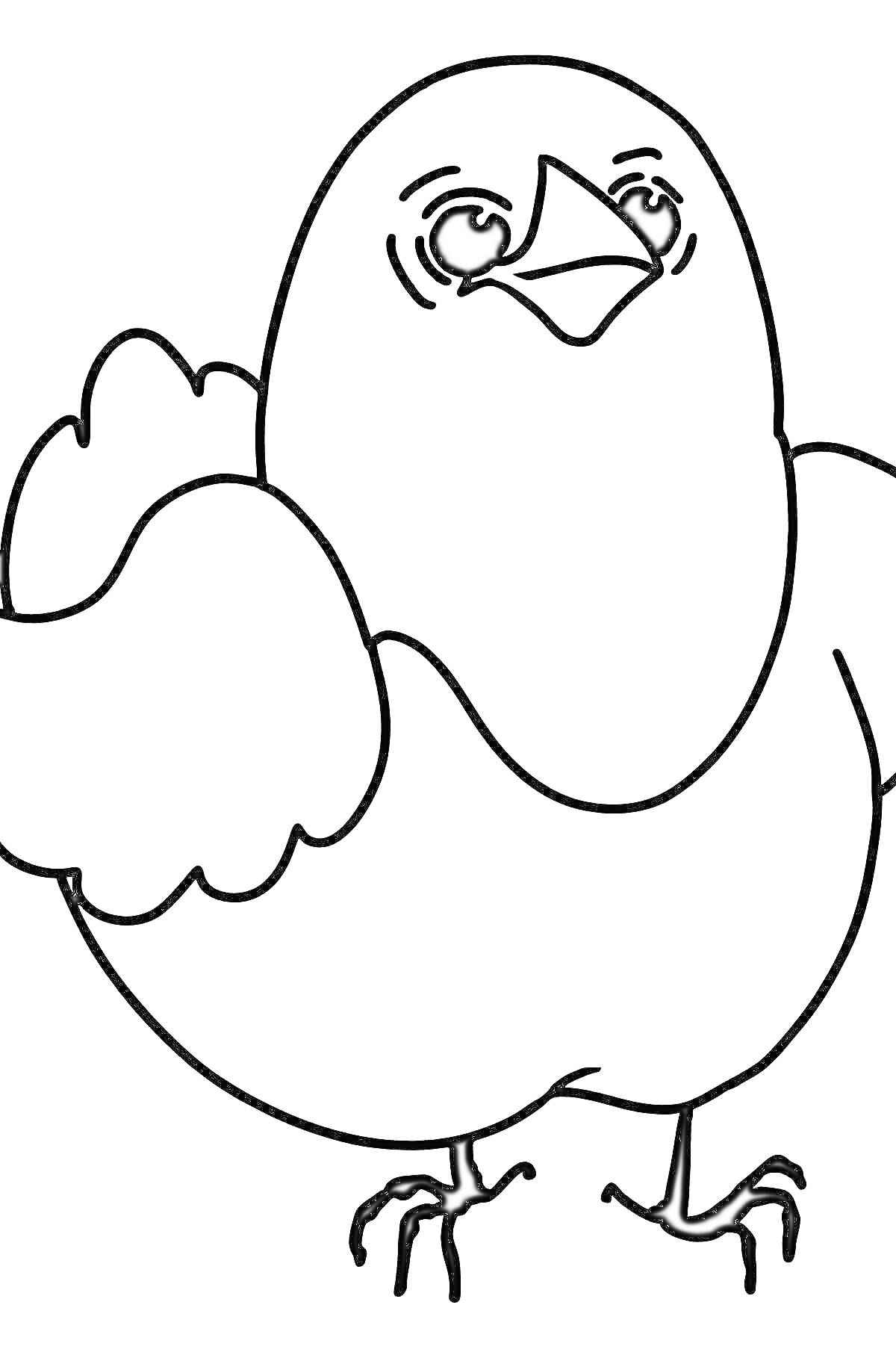 Раскраска Цыпленок с крыльями и лапками