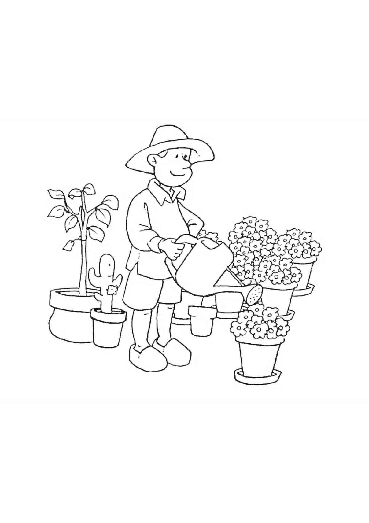 Раскраска Садовник поливает растения из лейки, вокруг цветы в горшках, куст и кактус