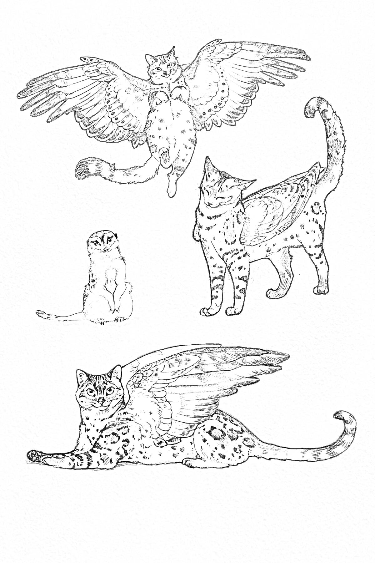 Раскраска Три кошки с крыльями и хорёк
