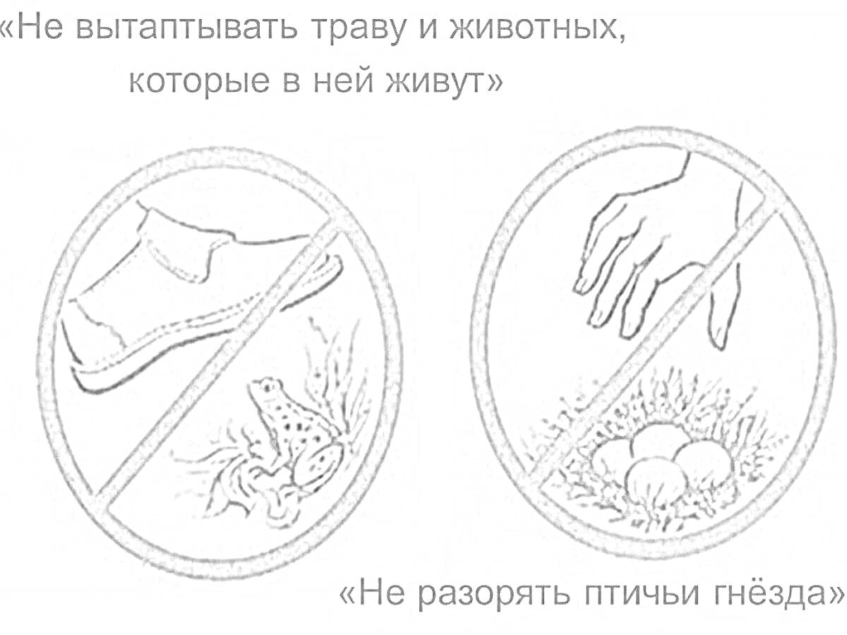 Раскраска Запрещающие знаки: травма ногой лягушки и выклёвывание птицыный гнёзд яиц рукой