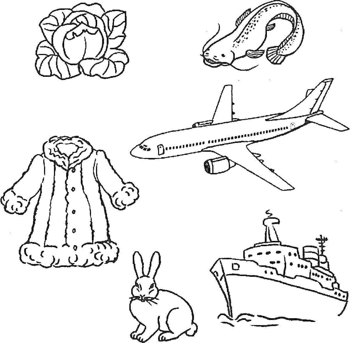На раскраске изображено: Капуста, Сом, Зимняя куртка, Кролик, Корабль, Еда, Растения, Животные, Транспорт, Одежда