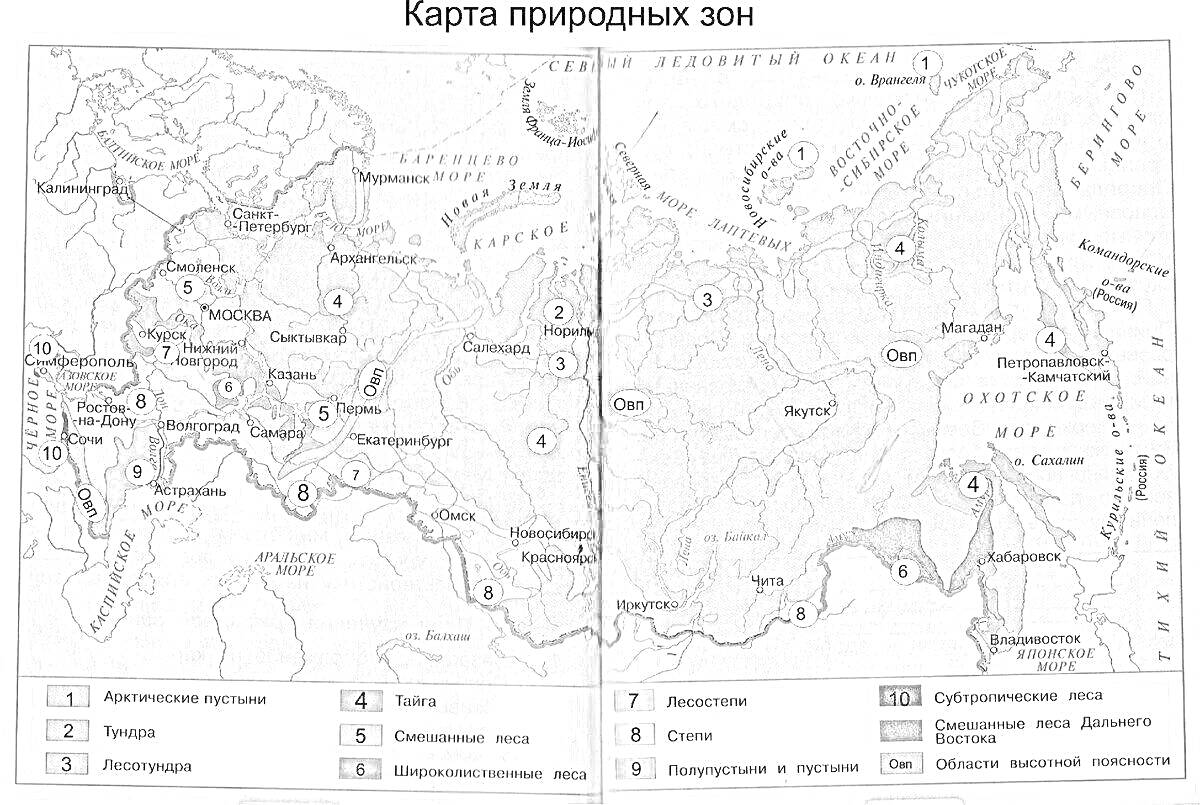 Раскраска карта природных зон России с обозначением арктических пустынь, тундры, лесотундры, тайги, смешанных и широколиственных лесов, лесостепей, степей, полупустынь и пустынь, субтропических областей, альпийских пустошей и тундр, высотных поясов в горах