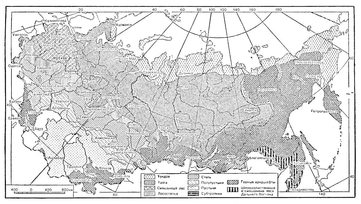 Карта природных зон России (тундра, лесотундра, тайга, смешанные леса, широколиственные леса, лесостепь, степь, полупустыни, пустыни, горные области)