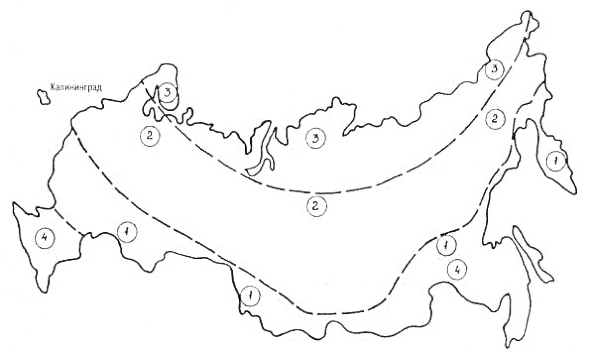 Раскраска Карта природных зон России с показанными границами различных зон и обозначением Калининграда