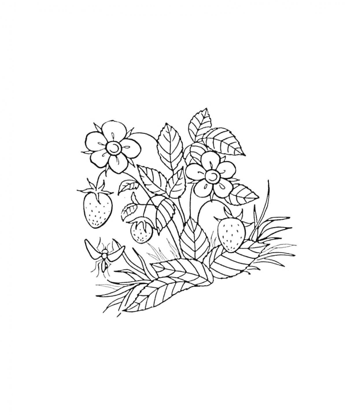 Раскраска Куст клубники с ягодами, цветами и травой