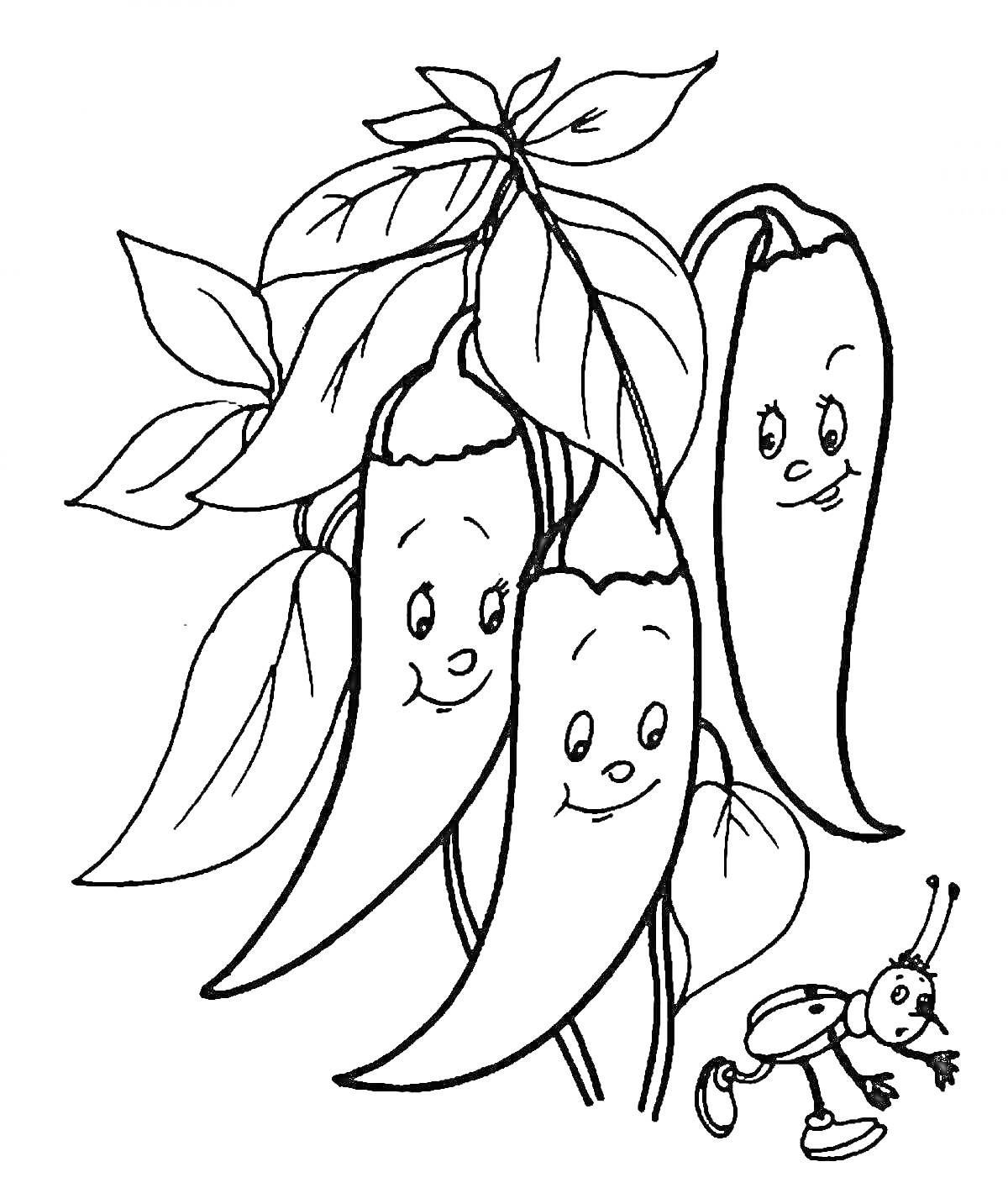 На раскраске изображено: Перец, Ветка, Листья, Насекомое, Овощи, Природа, Для детей, Лицо