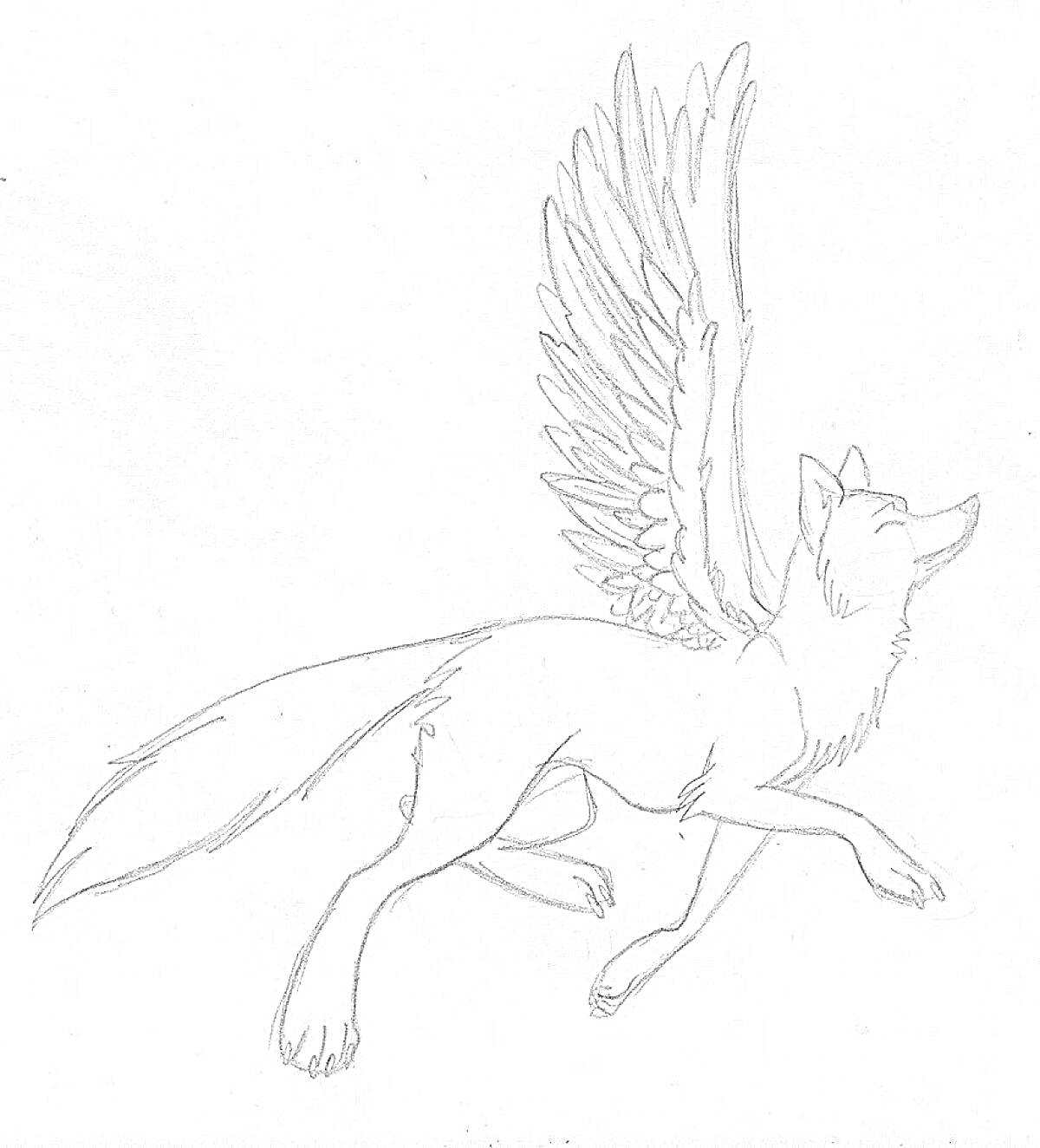 На раскраске изображено: Волк, Крылья, Полет, Фантазия, Волшебное существо, Мифические существа