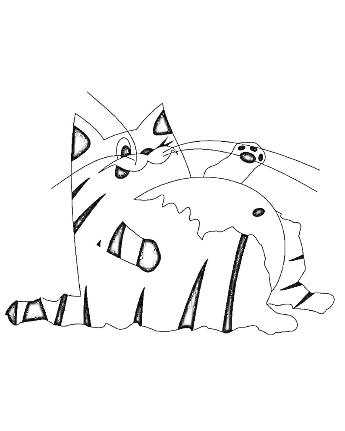 На раскраске изображено: Кот