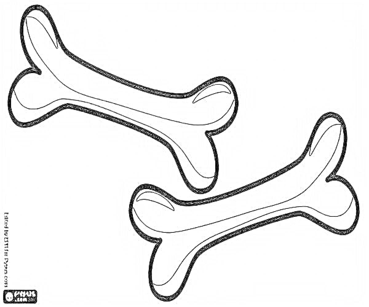 Раскраска Две косточки