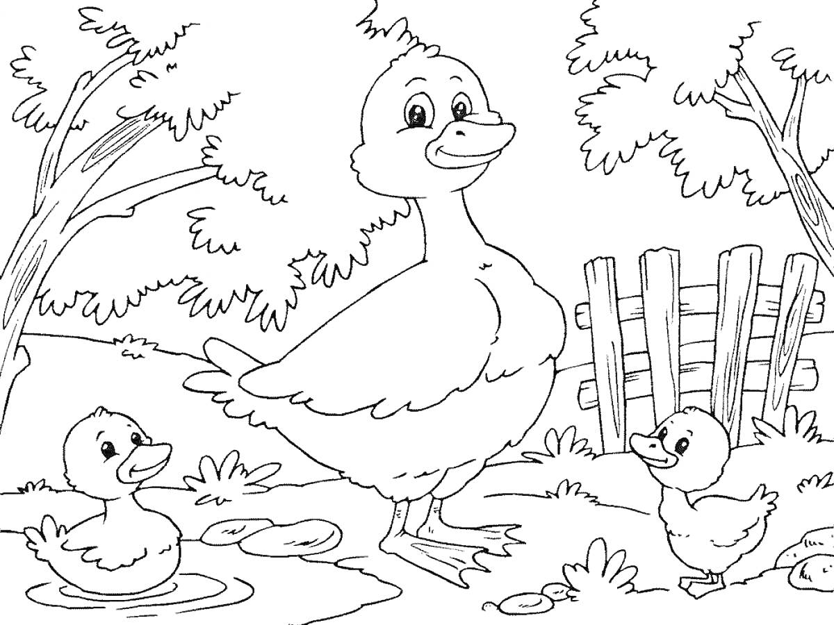 Раскраска Птица с утятами на пруду рядом с лесом и забором