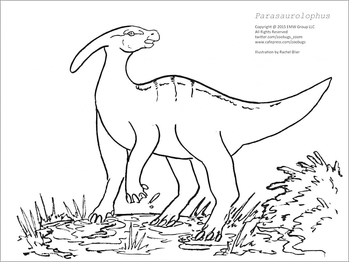 На раскраске изображено: Паразауролоф, Динозавр, Трава, Водоем, Природа, Животные