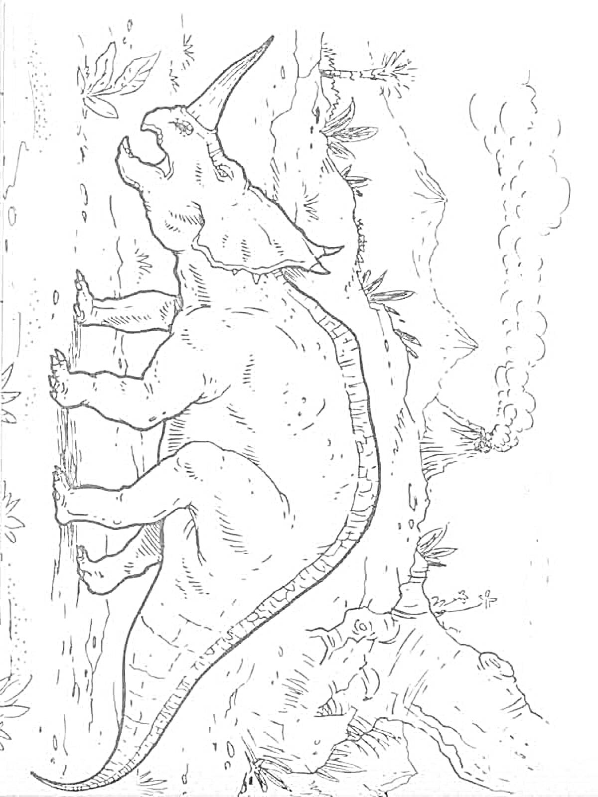 На раскраске изображено: Трицератопс, Динозавр, Вулкан, Деревья, Листья, Природа