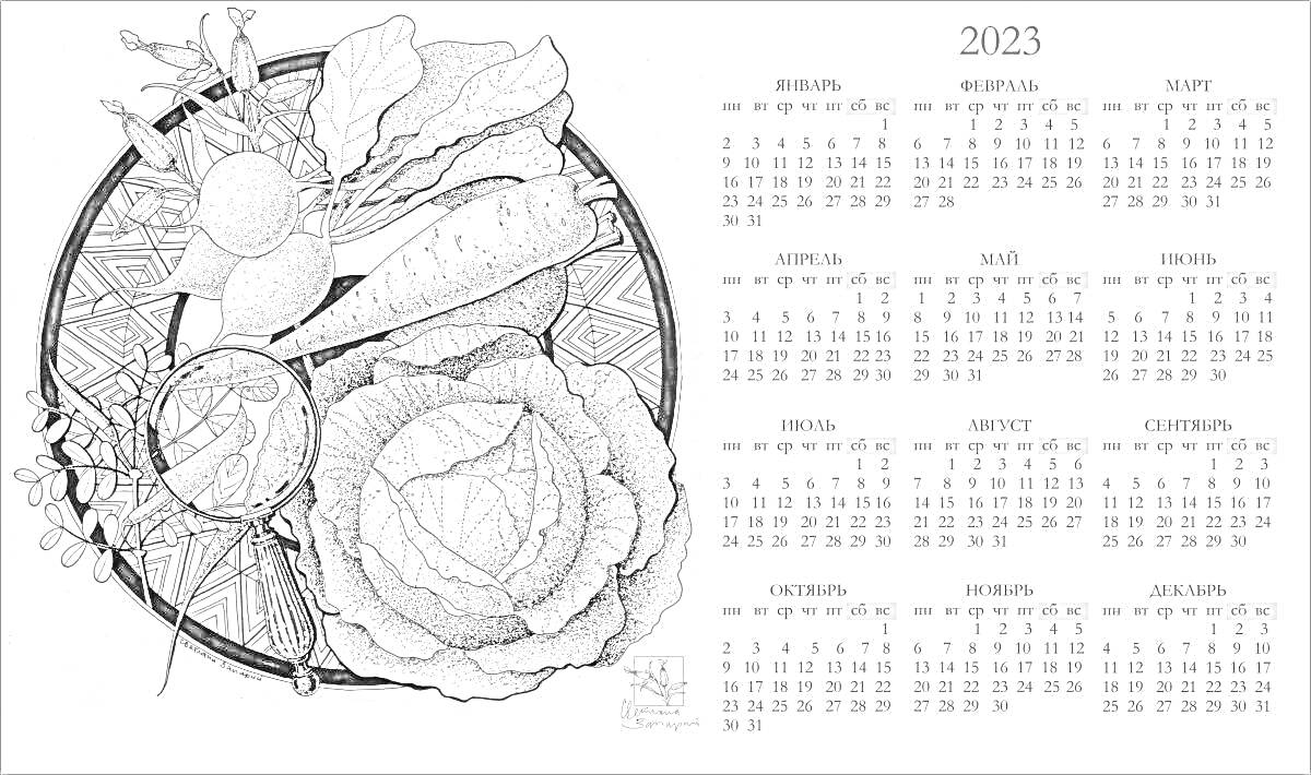 На раскраске изображено: Календарь, 2023, Цветы, Капуста, Крыжовник, Карта
