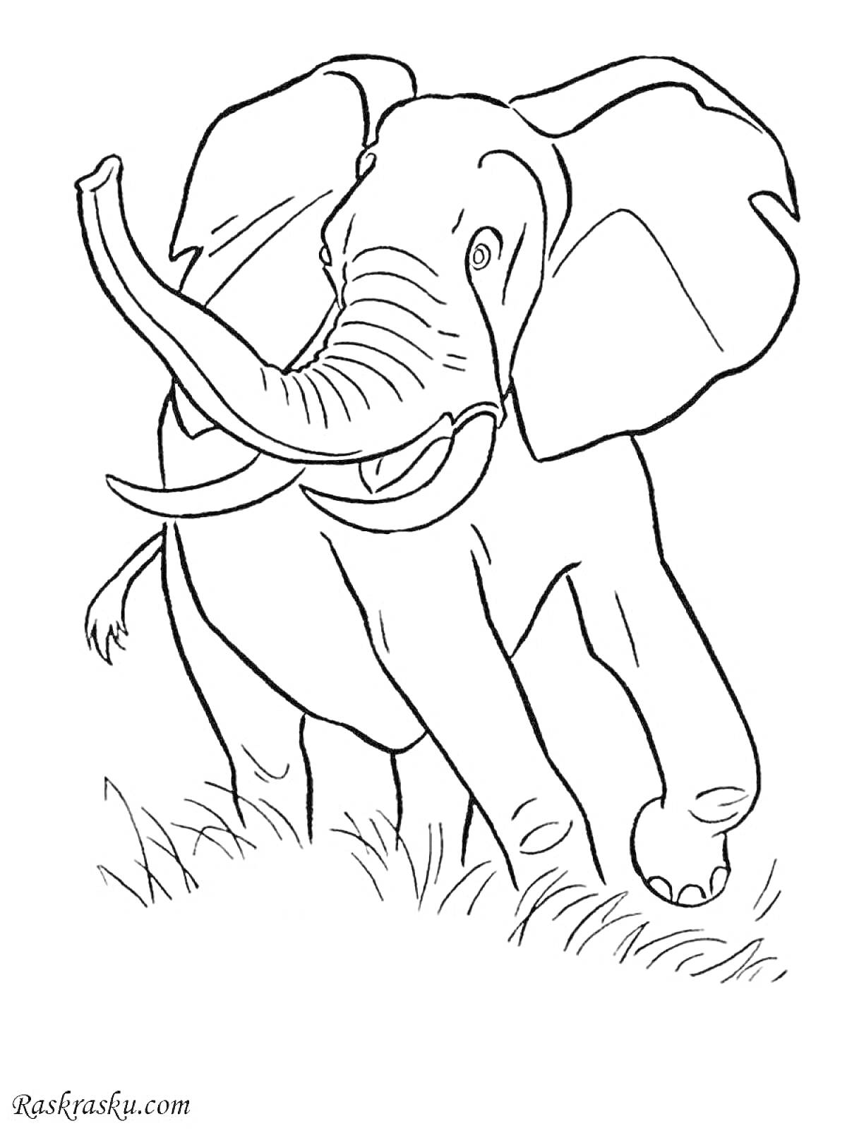 На раскраске изображено: Слон, Трава, Животные, Природа, Африка, Обучение