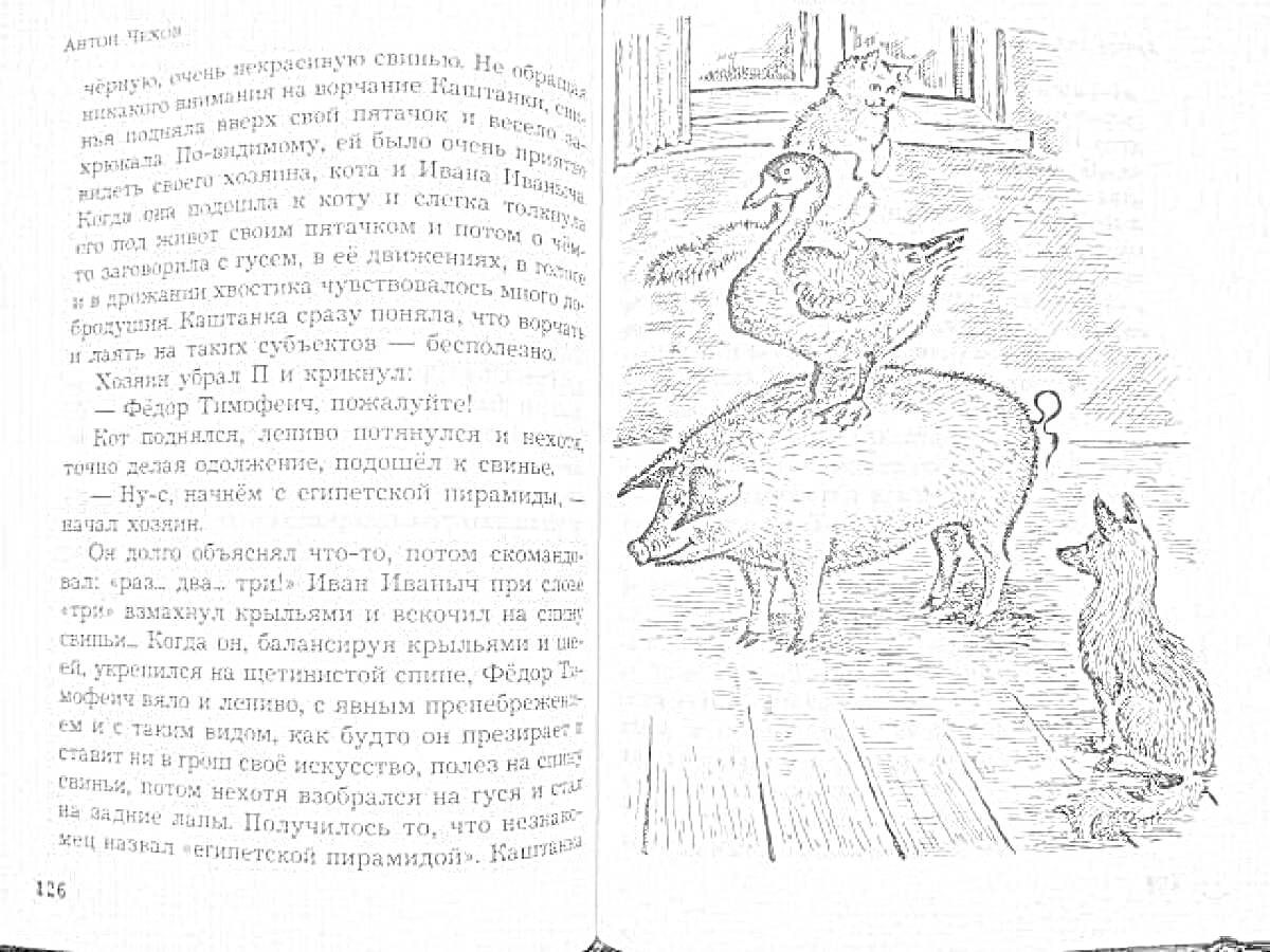 На раскраске изображено: Собака, Цирк, Животные, Антон Чехов, Каштанка