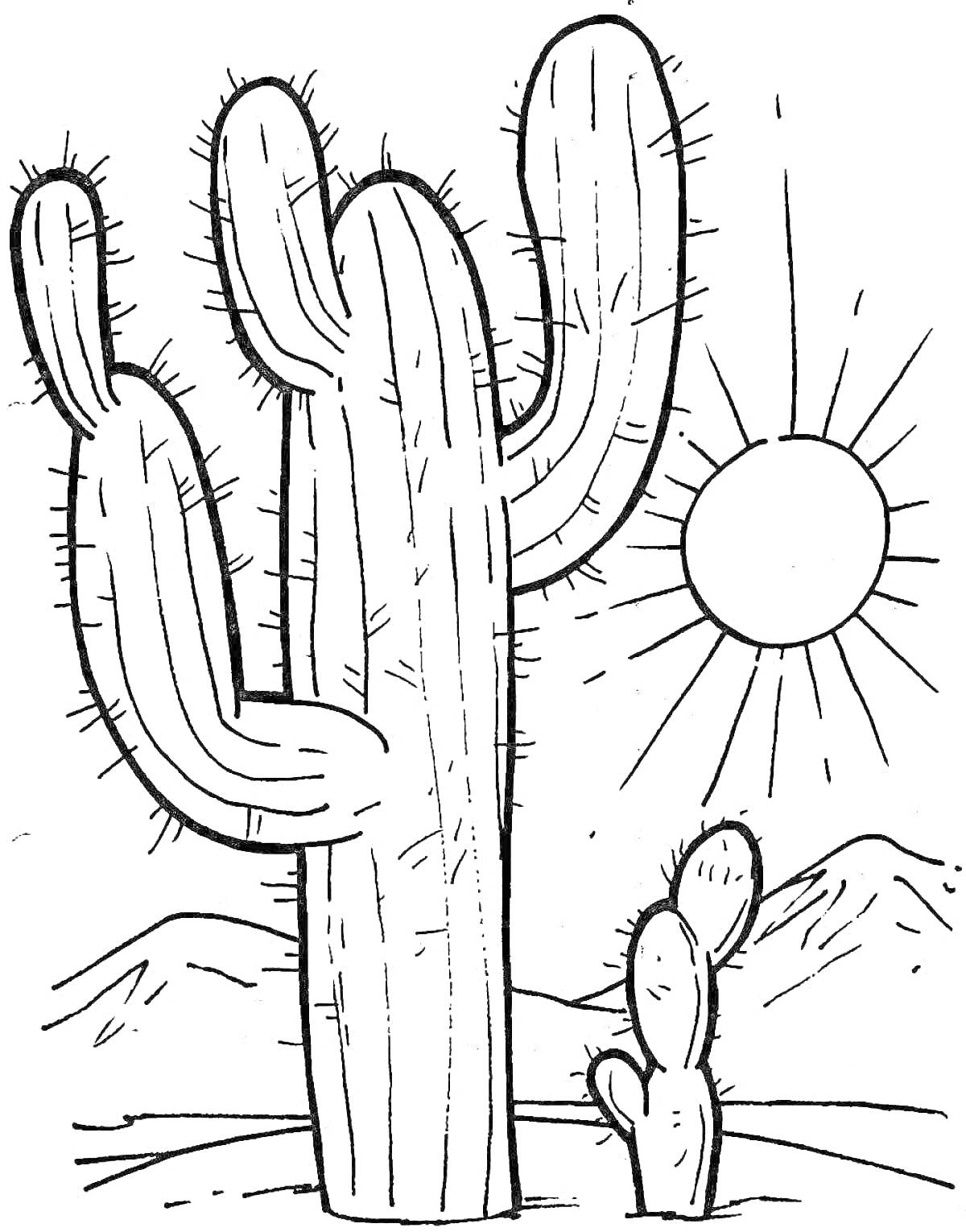 Раскраска Кактусы в пустыне со светящимся солнцем и горами на заднем плане