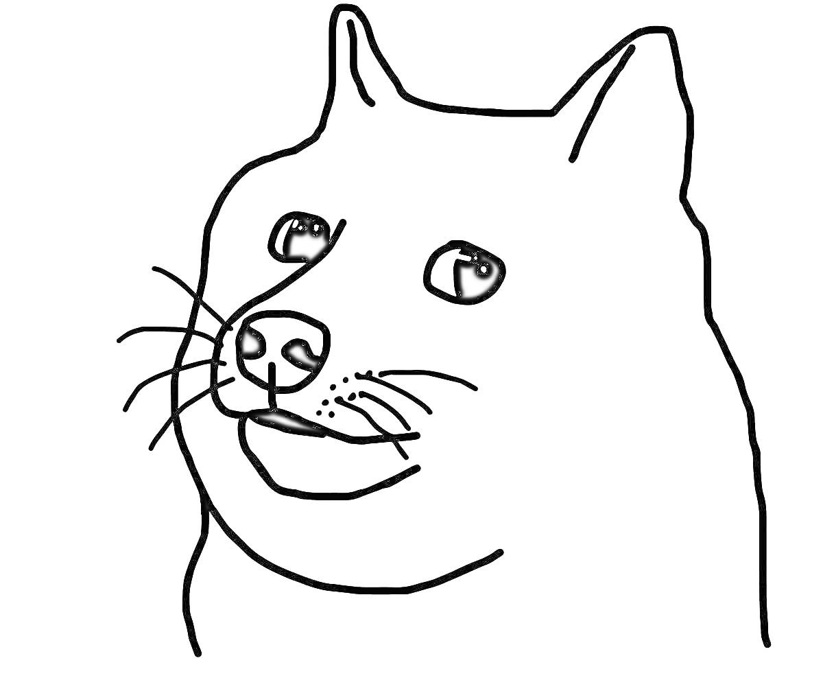 Контурное изображение собаки с выражением лица
