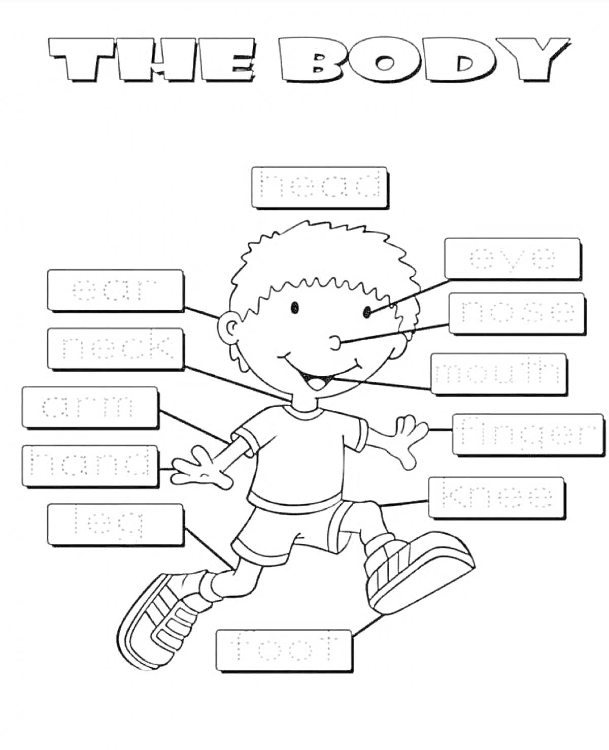 Раскраска Части тела на английском языке со всеми элементами