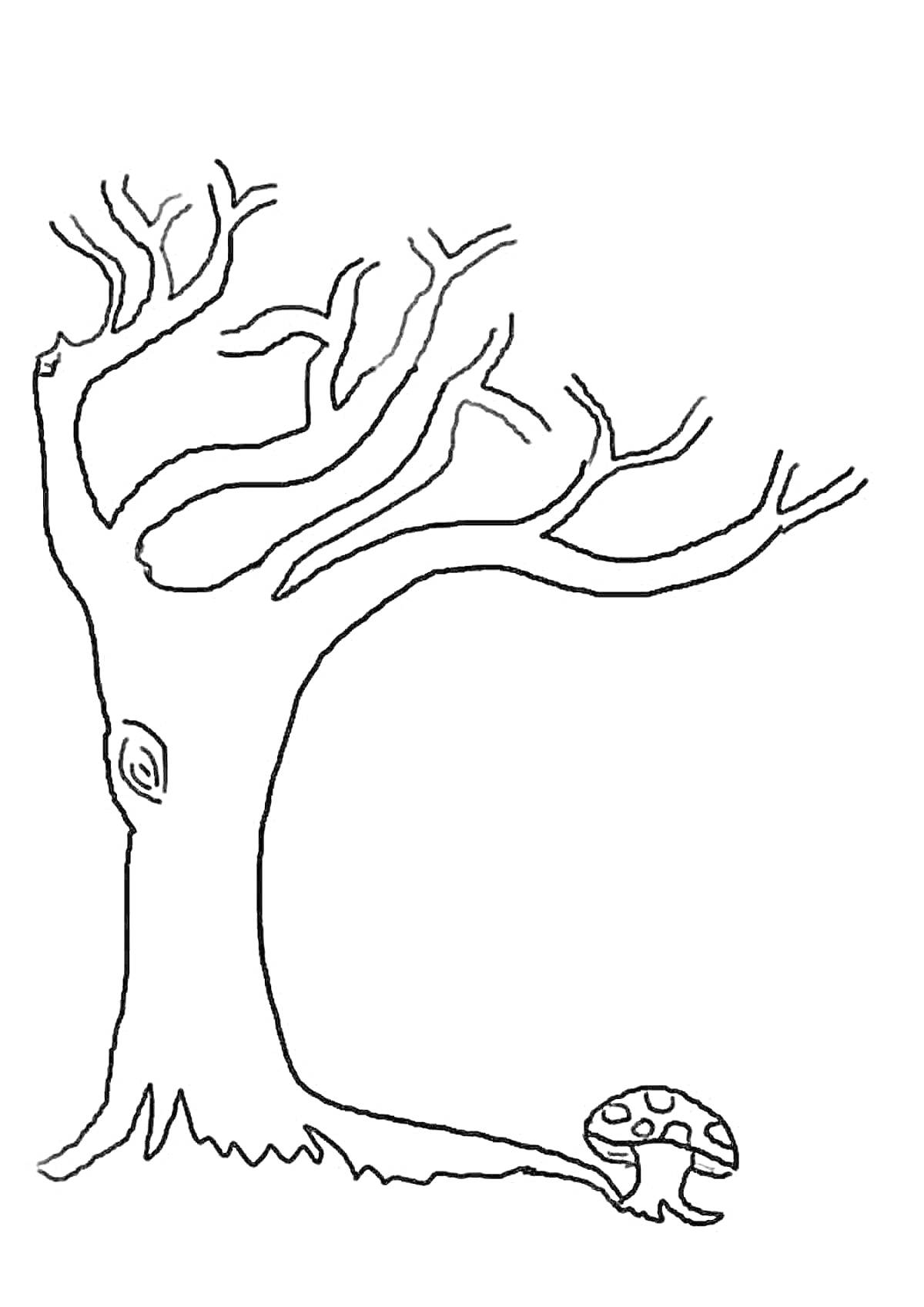 Раскраска Дерево без листьев с мухомором внизу