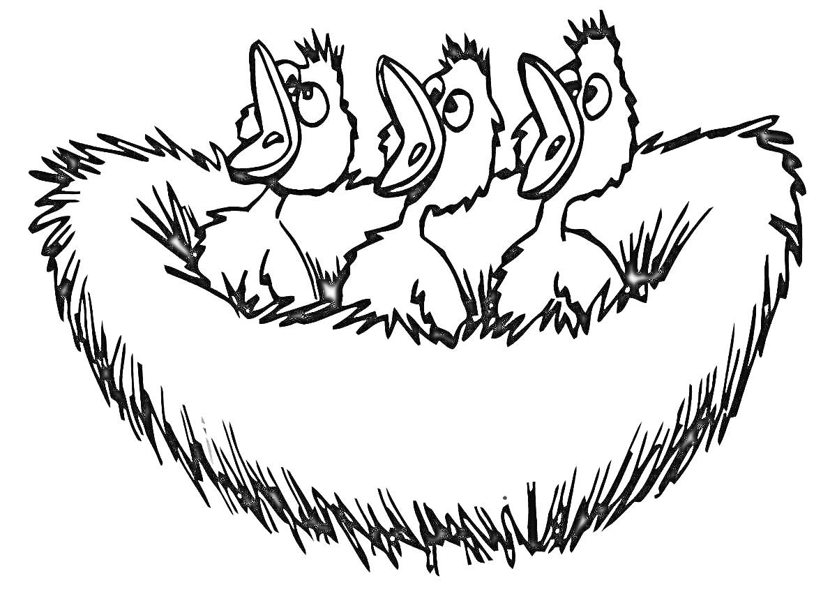 На раскраске изображено: Гнездо, Малыш, Природа, Перья, Для детей, Птица, Животные, Птенец