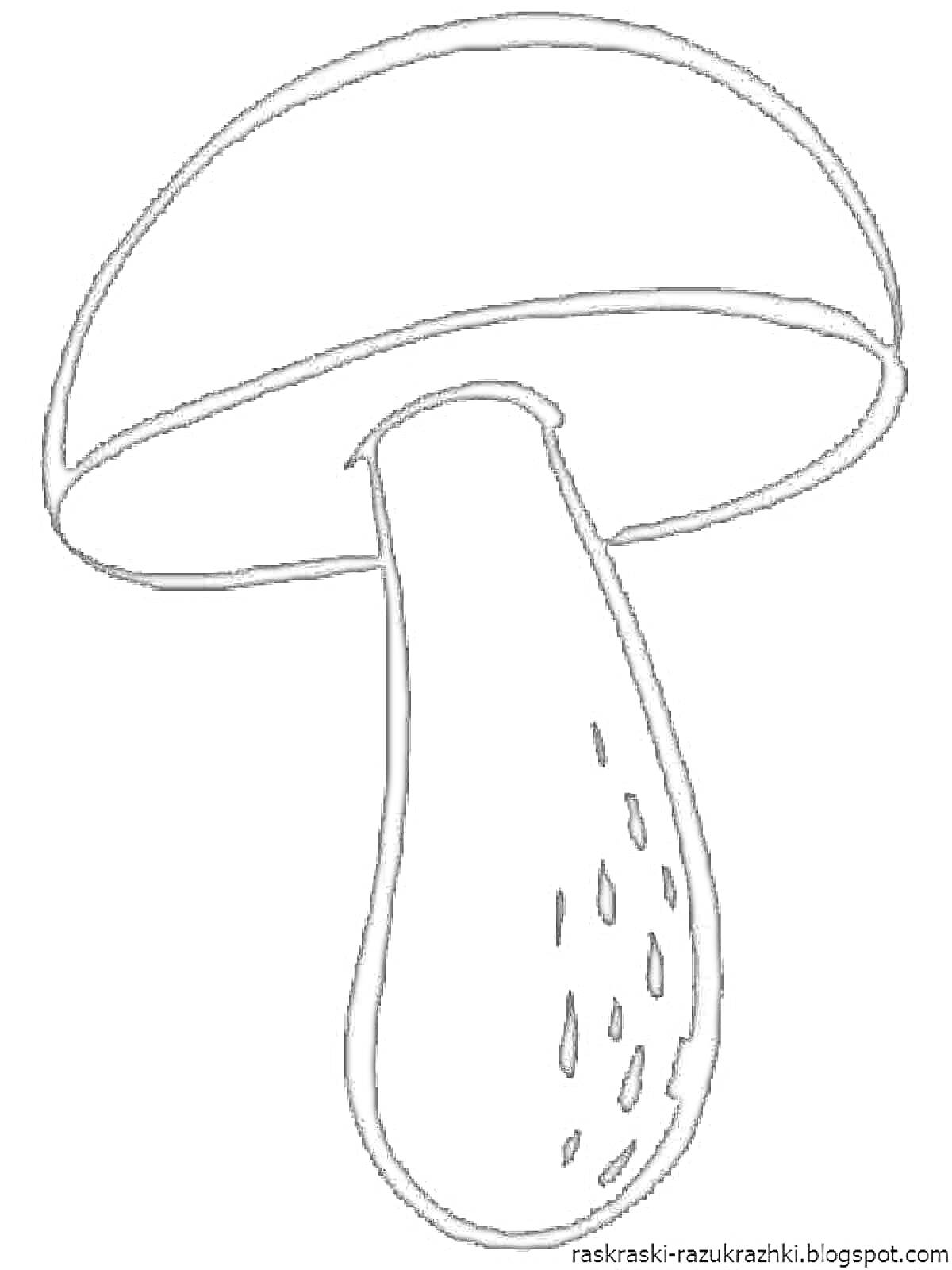 Раскраска гриб с шляпкой и ножкой, пятнышки на ножке
