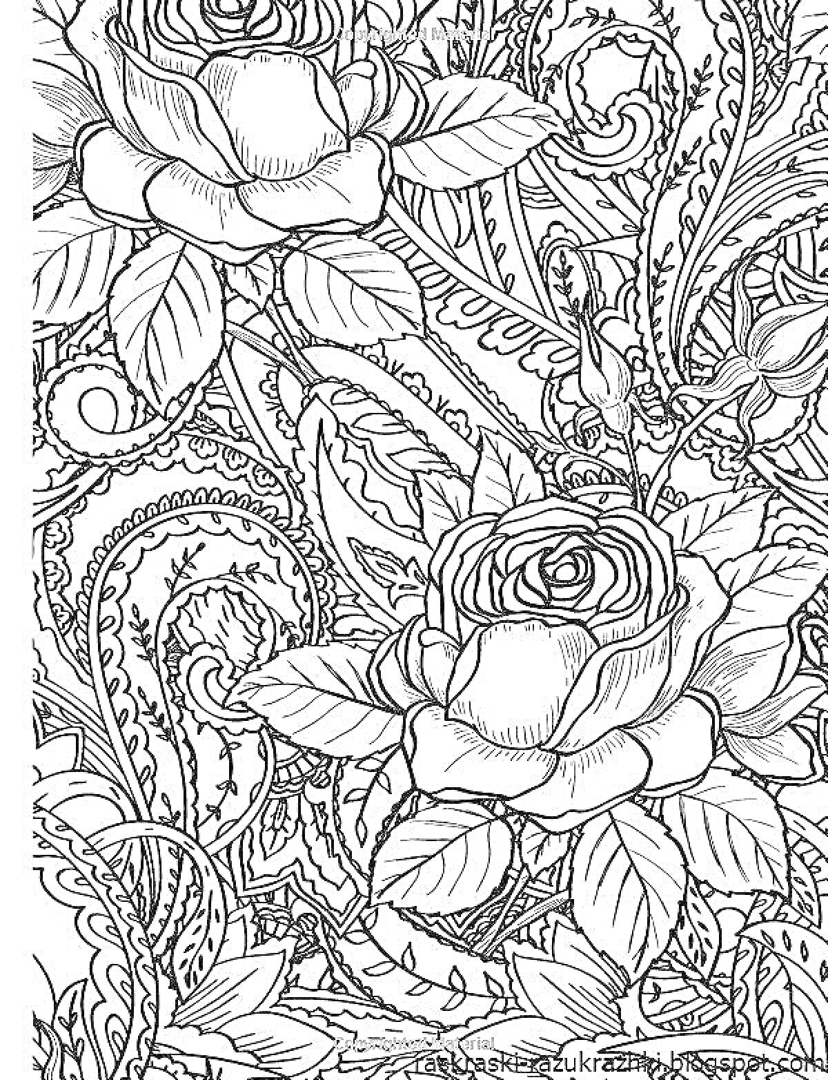 На раскраске изображено: Розы, Листья, Цветы, Узоры, Сложные узоры, Растительные узоры