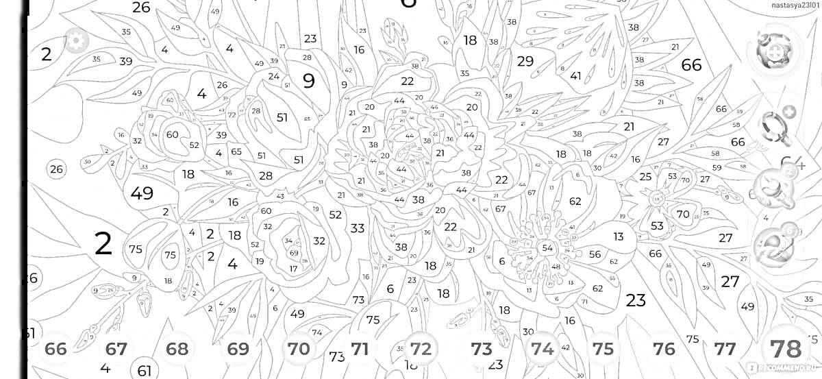 Раскраска Картинка с цветами и листьями для раскраски по номерам