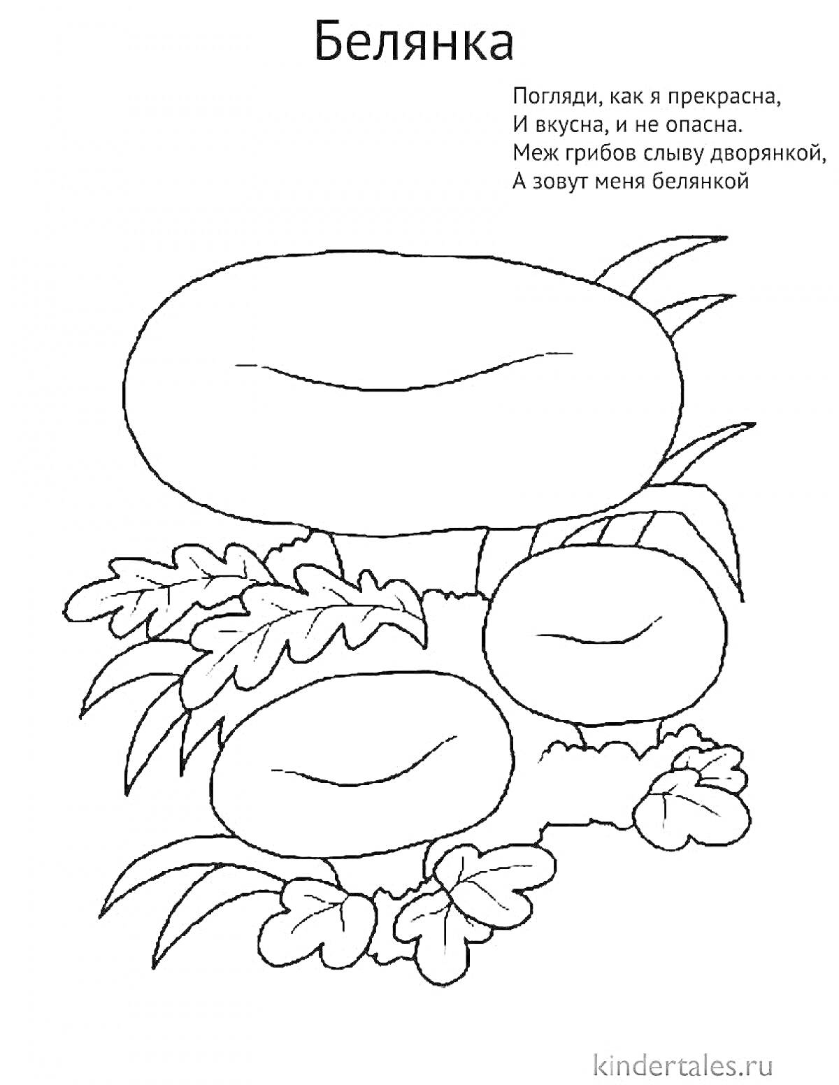 Раскраска Белянка: три гриба со стеблями и шляпками, растущие на земле среди листьев и травы, стихотворение