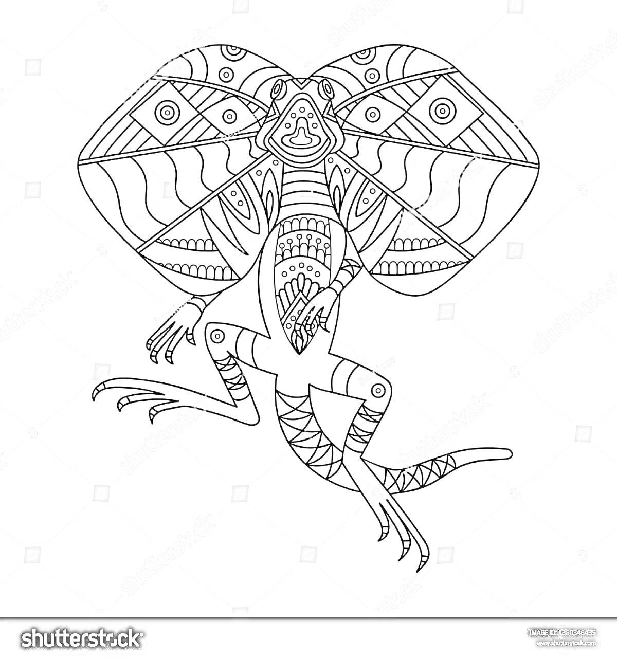 На раскраске изображено: Плащеносная ящерица, Узоры, Контурные рисунки