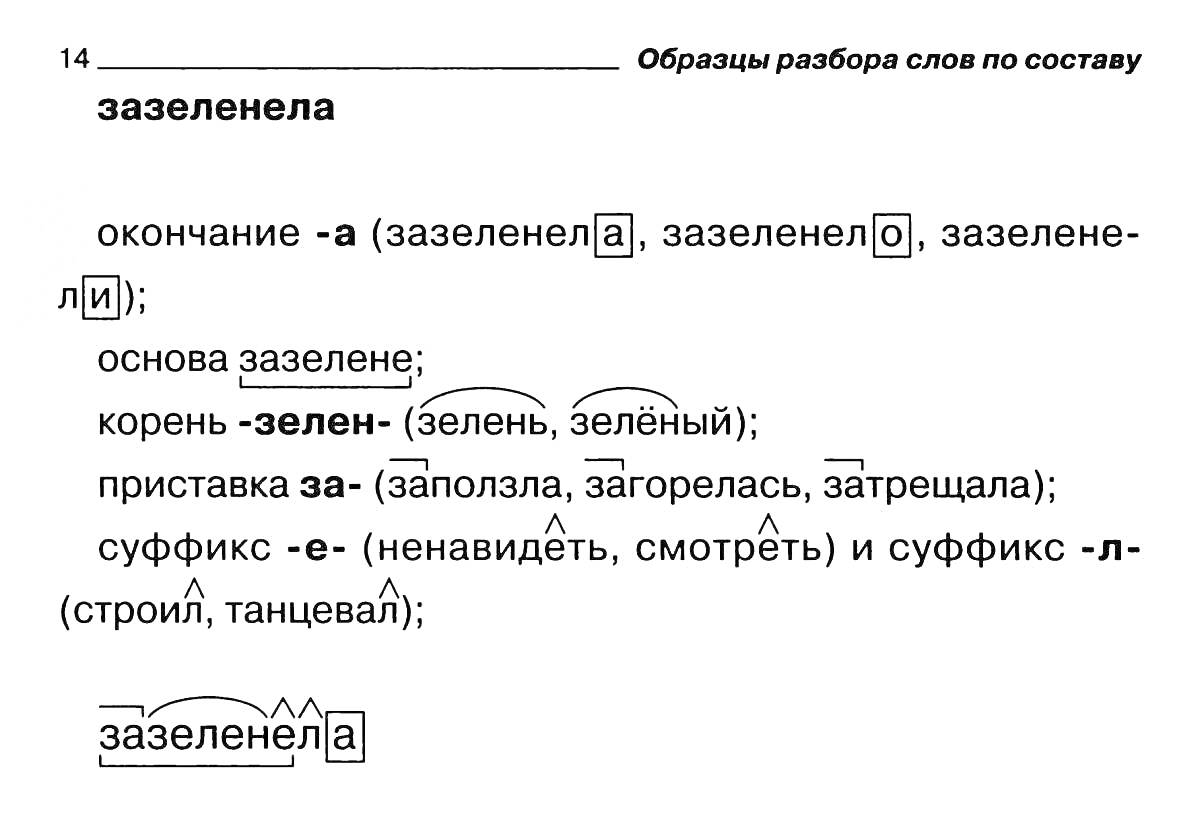 На раскраске изображено: Разбор слова, Окончание, Основа, Суффиксы, Русский язык, Морфология