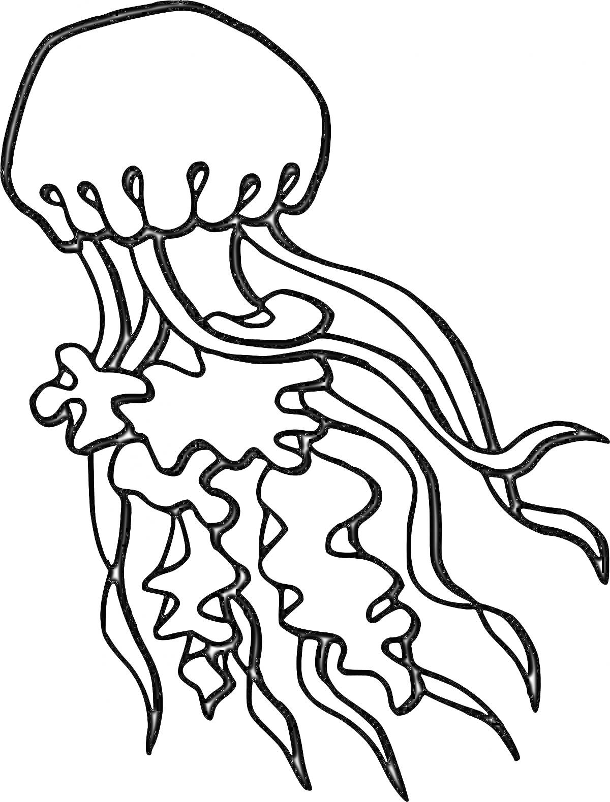На раскраске изображено: Медуза, Щупальца, Морская жизнь, Творчество, Для детей