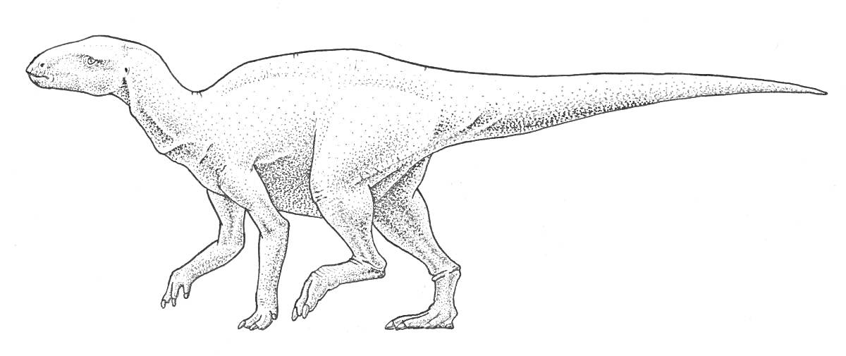 Раскраска Контурное изображение игуанодона в профиль