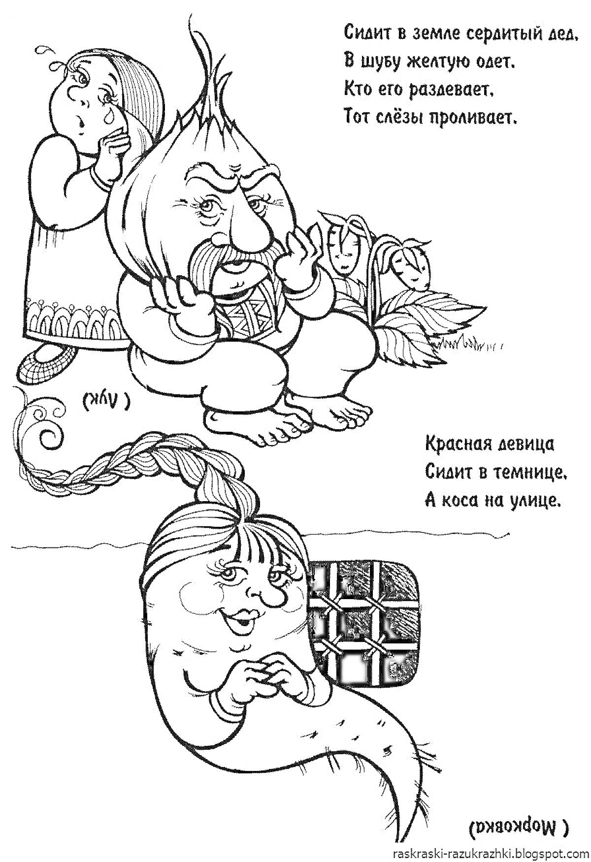 Раскраска Загадки про репку и лук на раскраске
